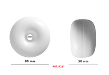 k221 g.jpg